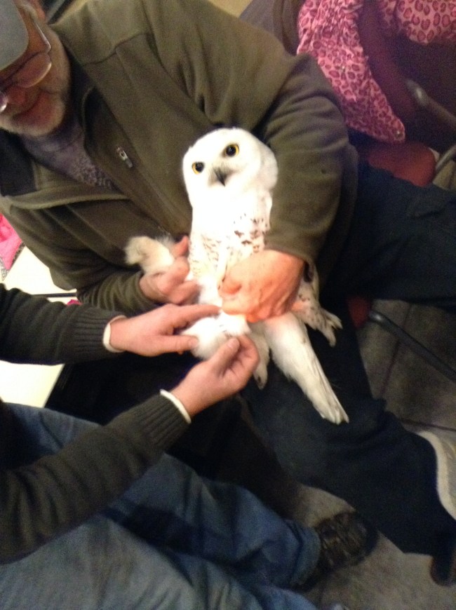 Getting a band. Image