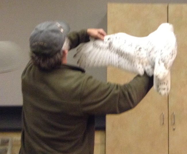 Looking at markings. Image